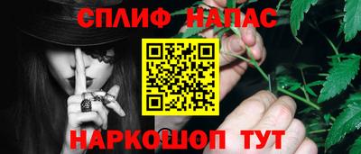 хмурый Шелехов