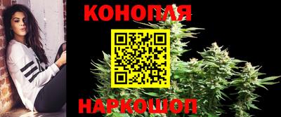амф Шебекино